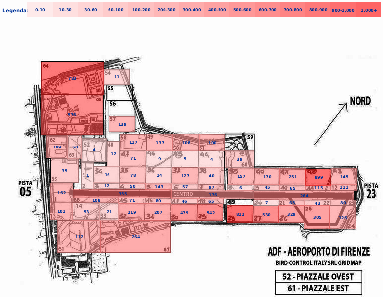 Mappa concentrazione Piccione in aeroporto Firenze Peretola