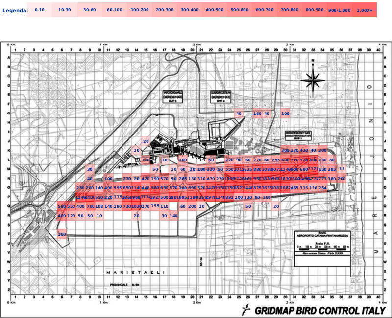 Mappa concentrazione Rondone in aeroporto Catania Fontanarossa