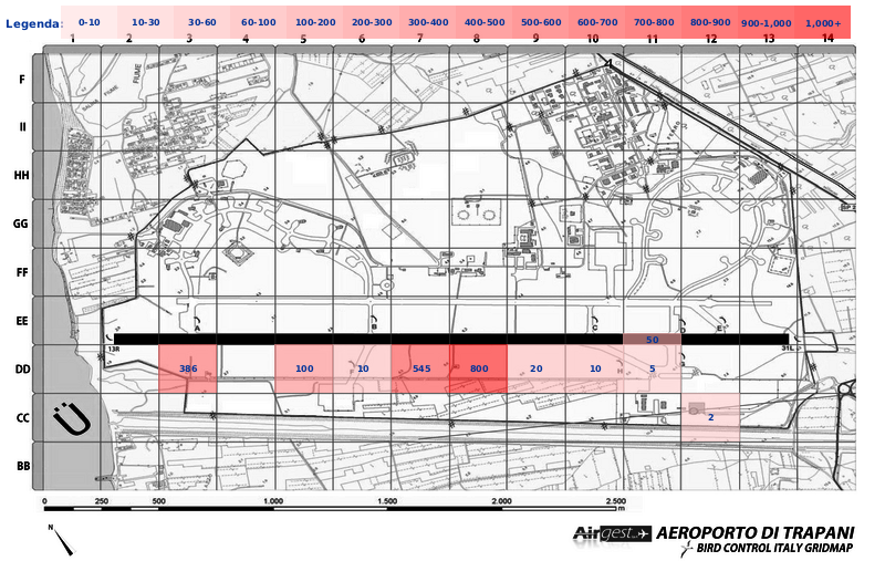 Mappa concentrazione Rondine in aeroporto Trapani Birgi