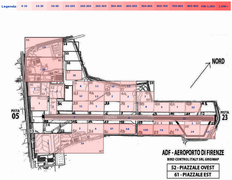 Mappa concentrazione Gheppio in aeroporto Firenze Peretola