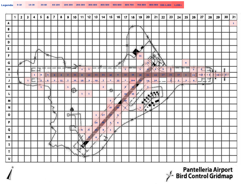 Mappa concentrazione Gheppio in aeroporto Pantelleria