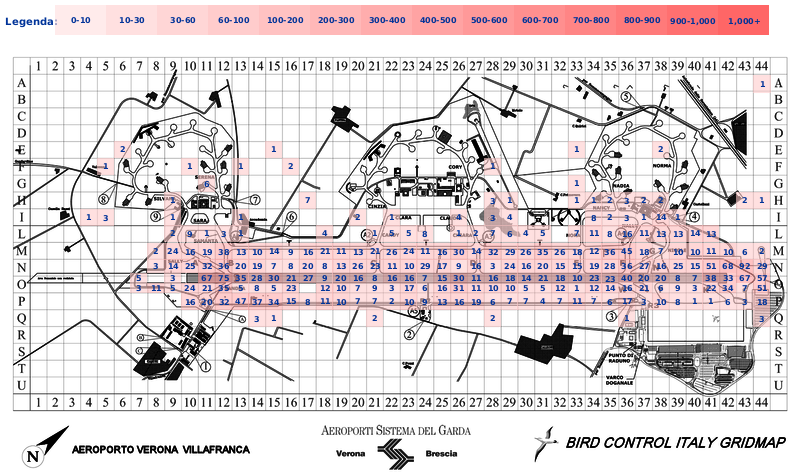 Mappa concentrazione Lepre in aeroporto Verona Villafranca