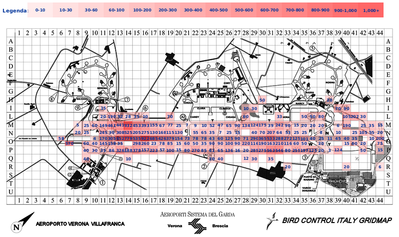 Mappa concentrazione Rondine in aeroporto Verona Villafranca