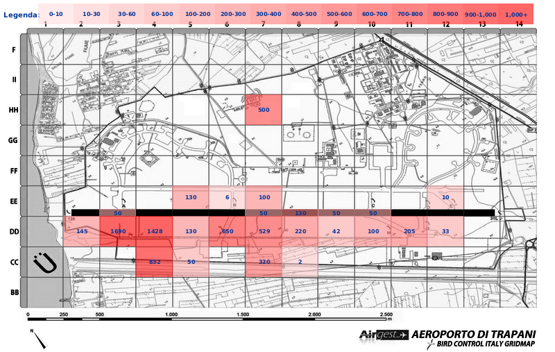 Mappa concentrazione Rondone in aeroporto Trapani Birgi