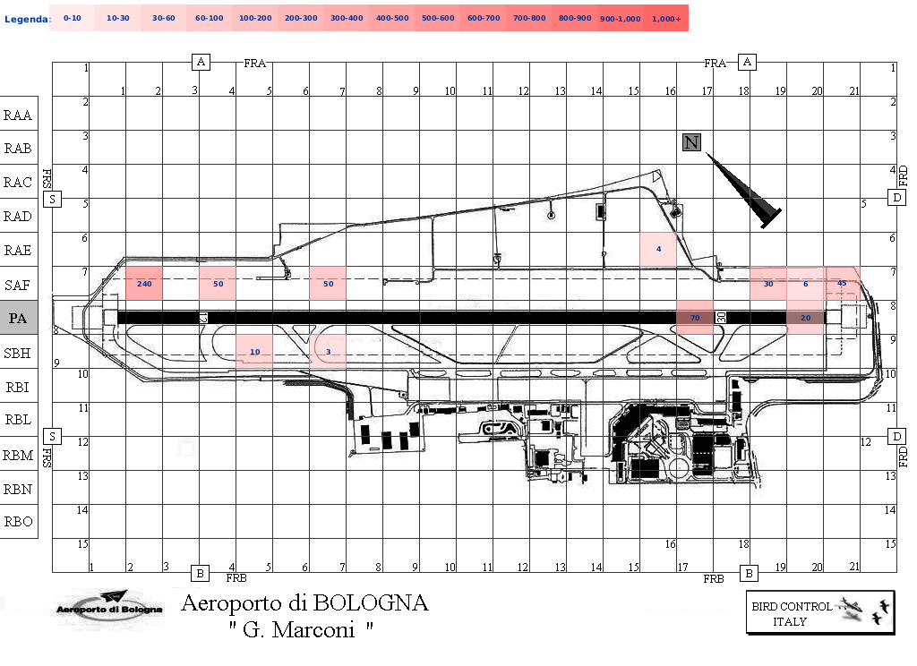 Mappa concentrazione Rondone in aeroporto Bologna Borgo Panigale