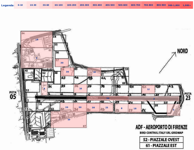 Mappa concentrazione Rondone in aeroporto Firenze Peretola