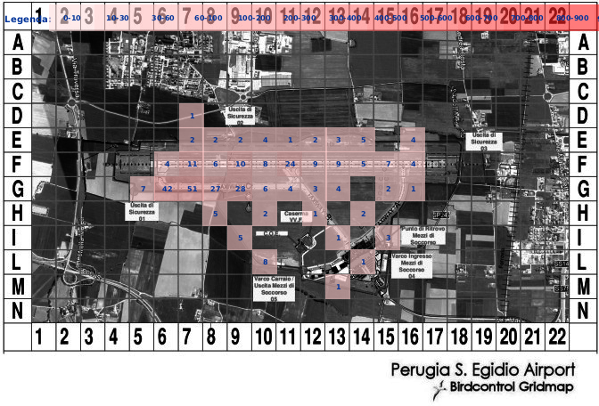 Mappa concentrazione Gheppio in aeroporto Perugia