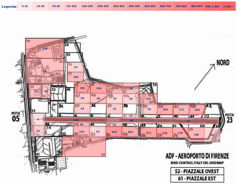 Mappa concentrazione Rondine in aeroporto Firenze Peretola