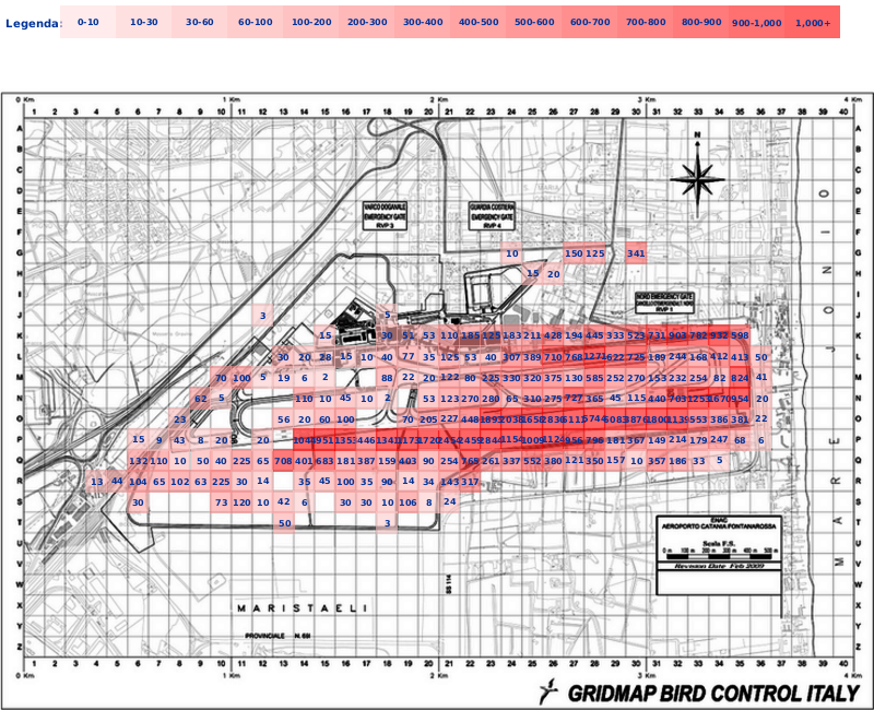 Mappa concentrazione Piccione in aeroporto Catania Fontanarossa