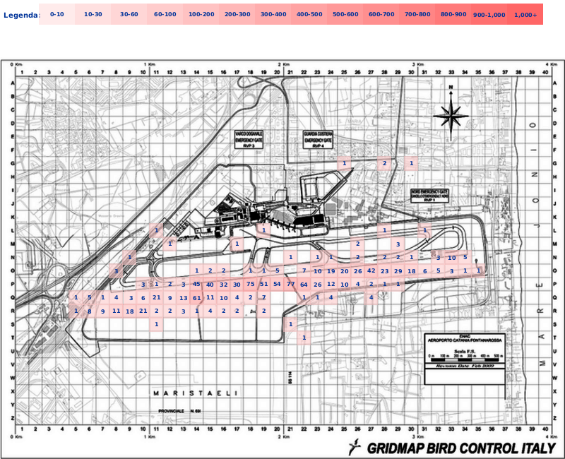 Mappa concentrazione Gheppio in aeroporto Catania Fontanarossa