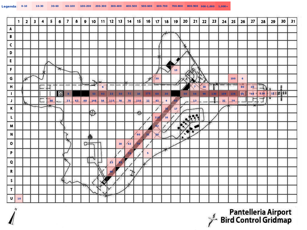 Mappa concentrazione Rondine in aeroporto Pantelleria