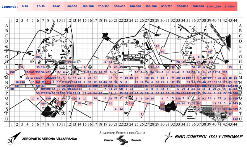 Mappa concentrazione Gabbiano comune in aeroporto Verona Villafranca