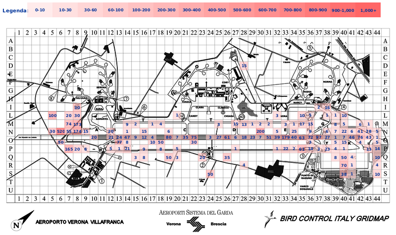 Mappa concentrazione Gabbiano reale zampegialle in aeroporto Verona Villafranca