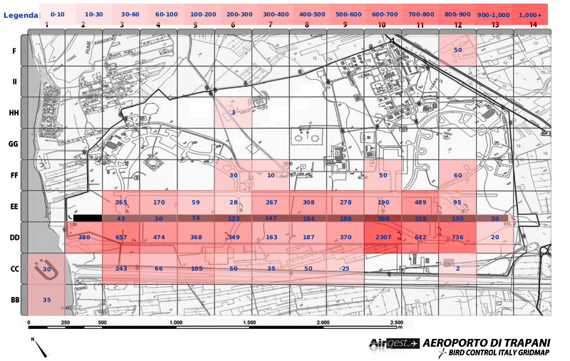 Mappa concentrazione Gabbiano reale zampegialle in aeroporto Trapani Birgi