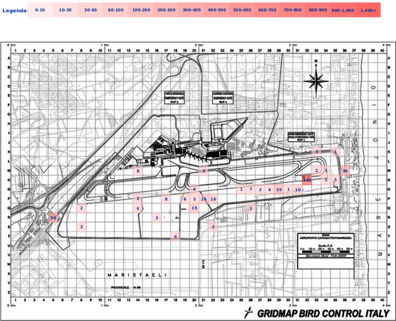 Mappa concentrazione Gabbiano reale zampegialle in aeroporto Catania Fontanarossa