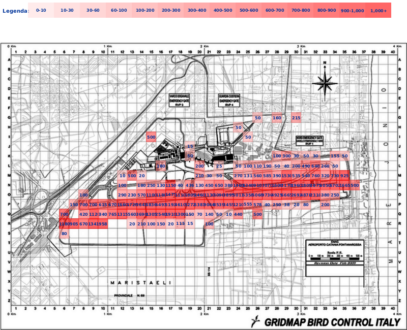Mappa concentrazione Rondine in aeroporto Catania Fontanarossa