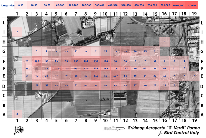 Mappa concentrazione Gheppio in aeroporto Parma