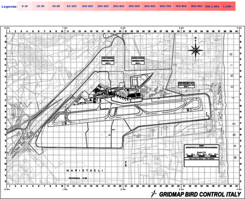 Mappa concentrazione Piviere dorato in aeroporto Catania Fontanarossa