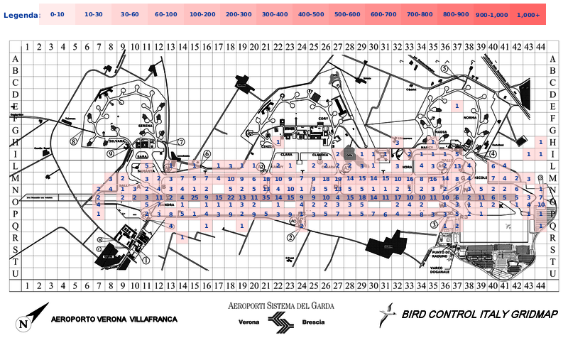 Mappa concentrazione Gheppio in aeroporto Verona Villafranca