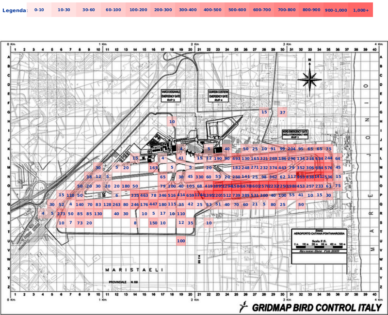 Mappa concentrazione Colombaccio in aeroporto Catania Fontanarossa