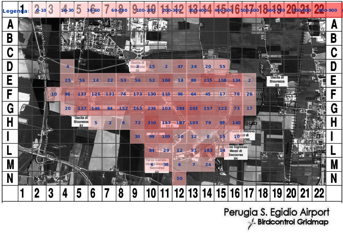 Mappa concentrazione Cornacchia grigia in aeroporto Perugia