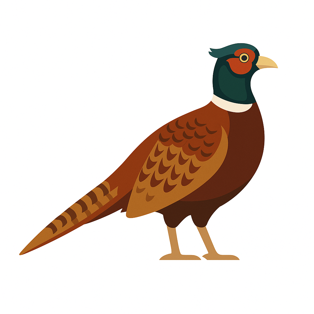 string.avatar Galliformi